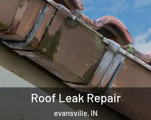  Roof Leak Repair evansville, IN